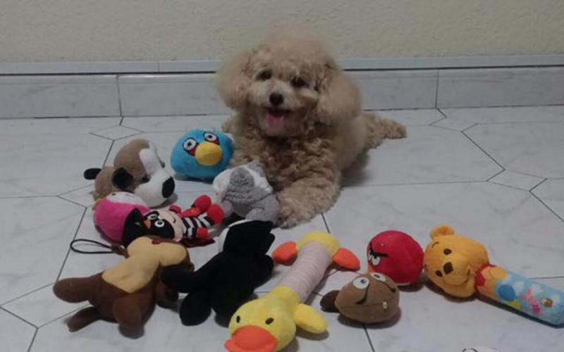 养兔学会细心体贴