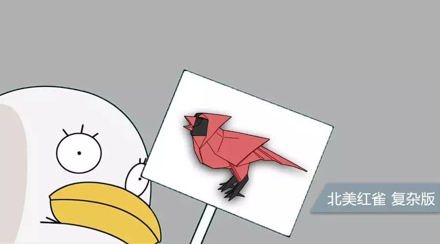 北美红雀爪子怎么折？揭秘其独特折叠方式