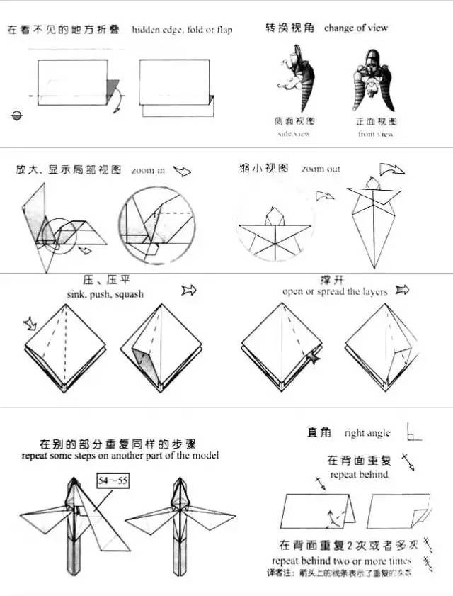 又是一只北美红雀 但这个有爪子哦