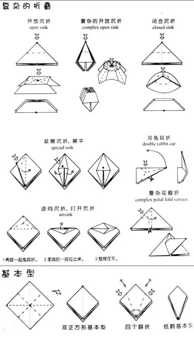 又是一只北美红雀 但这个有爪子哦