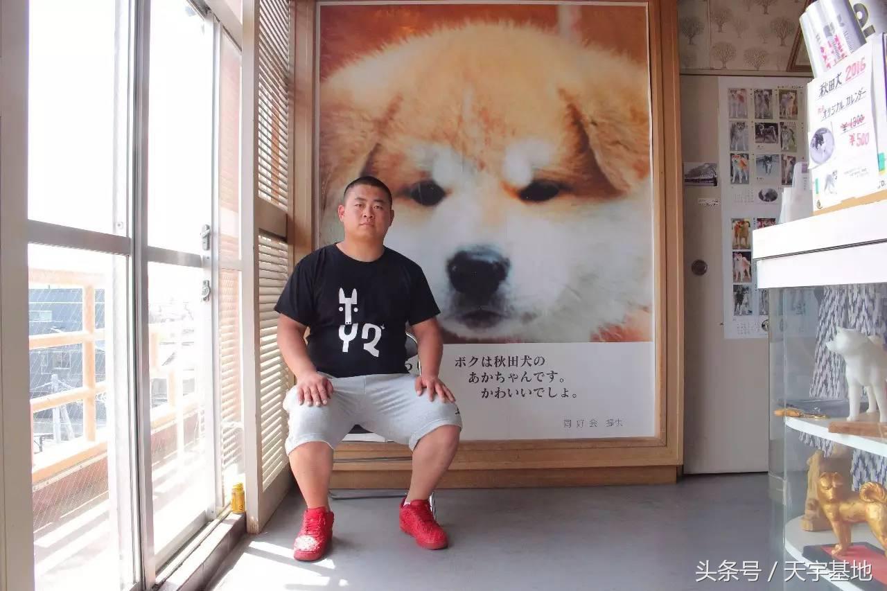 天宇基地秋田犬发展之路第一章：欢迎你来看我们的故事