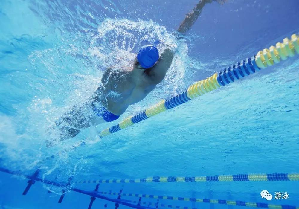 「知识普及」自由泳：人类极限最快泳姿