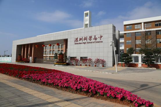 龙岗学校排名(深圳龙岗公办学校排名)-我的快乐小窝