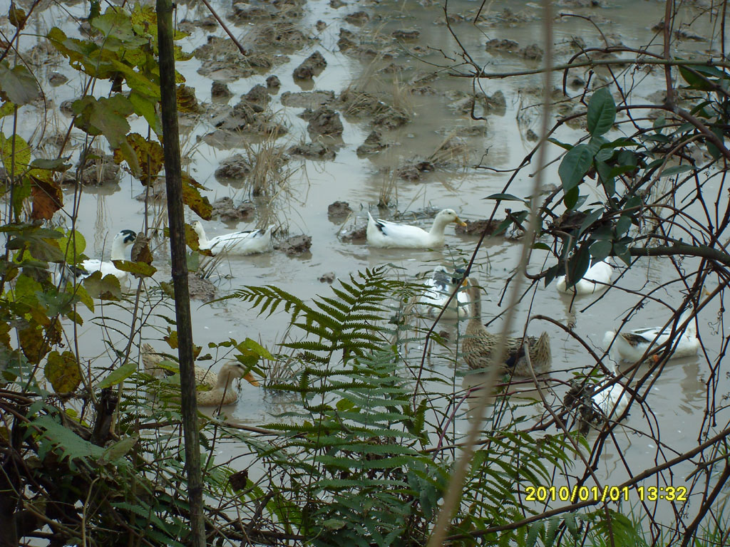SDC17961.jpg