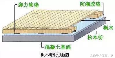 为什么只有nba用真皮篮球(NBA地板大学问！球馆的地板一平米造价达2000元，来涨姿势)