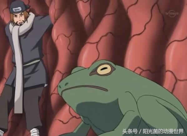 《火影忍者》里的审讯大师都有谁？排名第一的竟是自来也