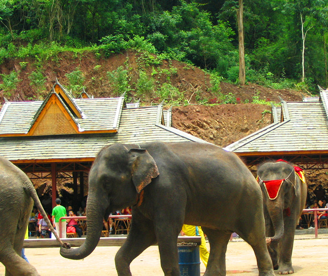 地理大神告诉你真正的中国冬天最温暖的城市排名