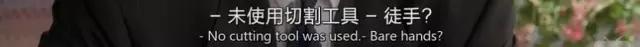 比起经典的美剧，单手数的“X档案”又回来了。