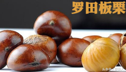 “隐形冠军”为什么是“小狗”？