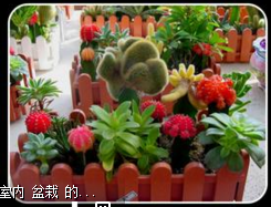 搬新家送啥礼物啊（朋友搬新家应该送什么）