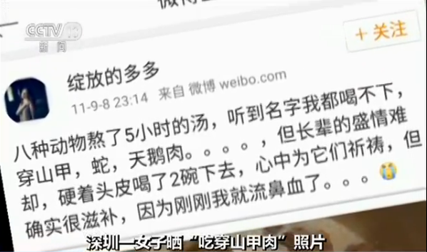 吃穿山甲,吃穿山甲判几年
