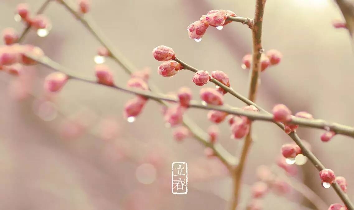 夜读｜立春：春江水暖，百草回芽，庭树飞花