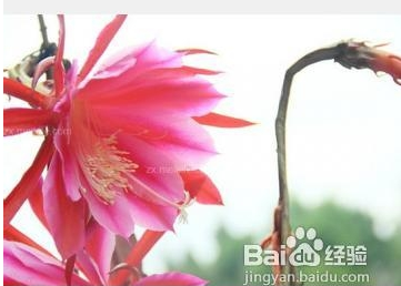 搬新家送啥礼物啊（朋友搬新家应该送什么）