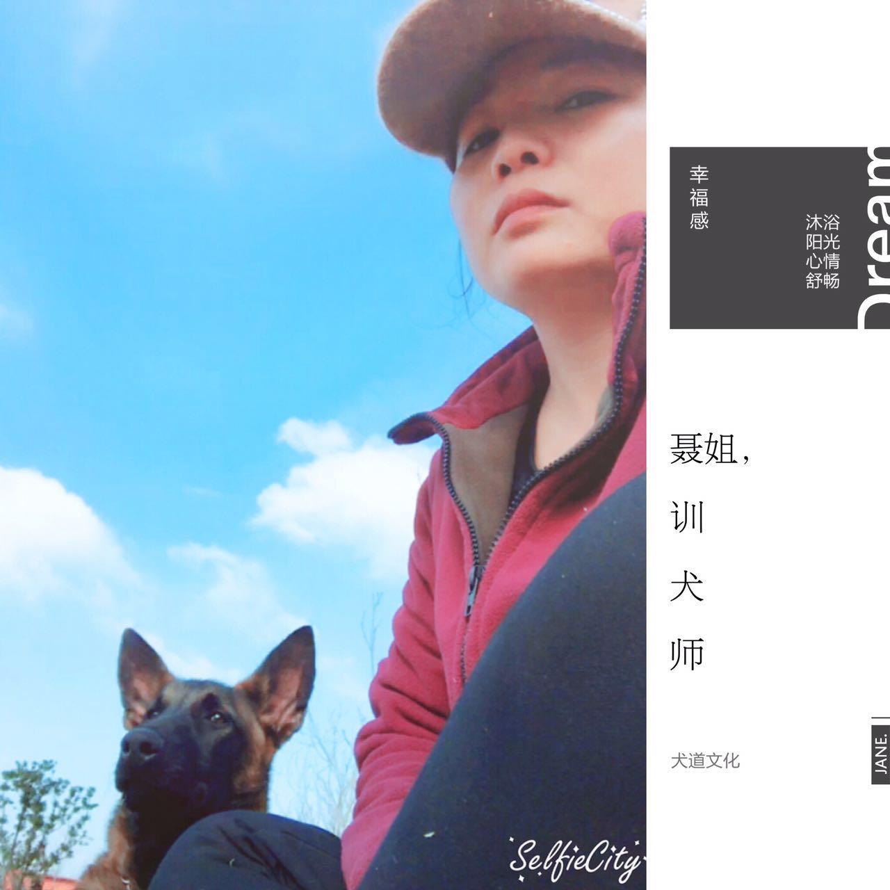 2016年，这些训犬师凭什么月收入过万？（第一篇）