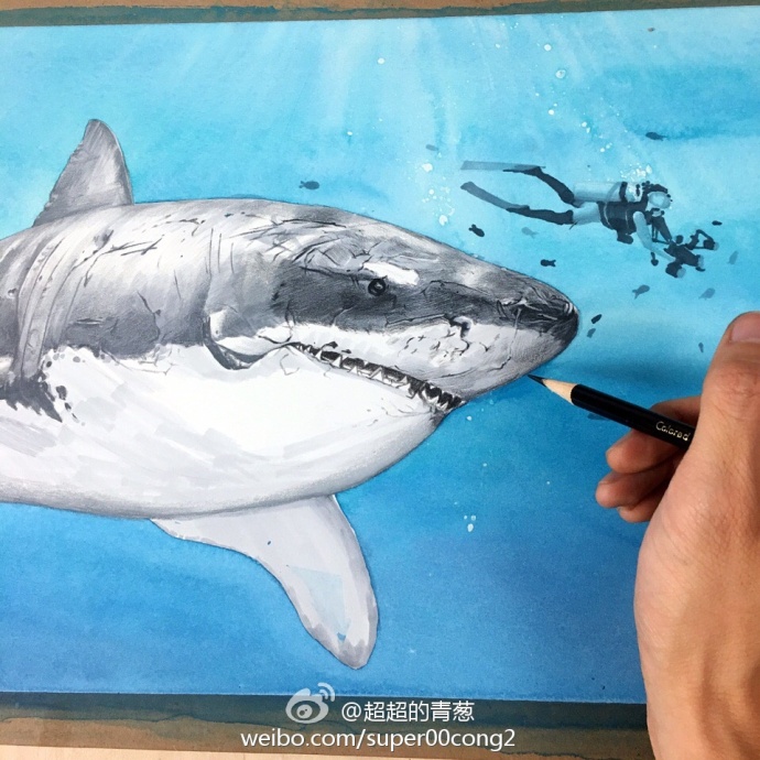 教你如何画一条“残暴无比”的鲨鱼，太美了！