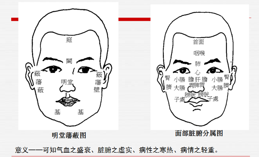 面部分侯法——望面即知全身！