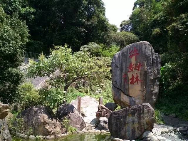 永春必去的景点，这么美值得去看看