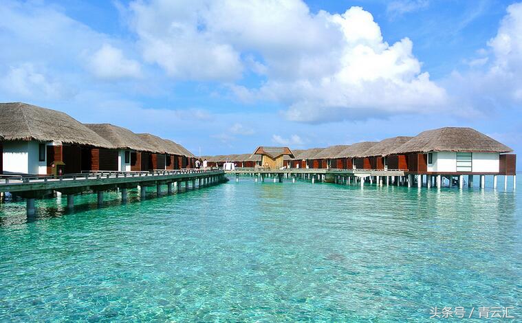 重庆电子工程职业学院2016分数线（汇总）