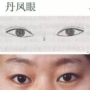 什么样的眼睛勾人？