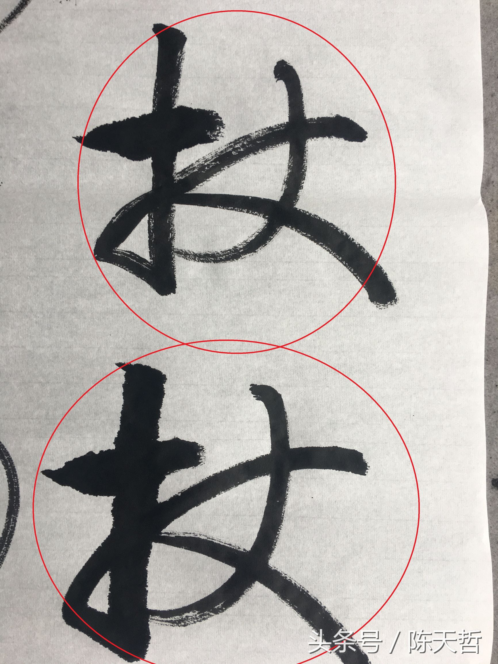 怀素也蒙人，狂草“木”旁6种变化字法，临帖感觉好往往也是个坑
