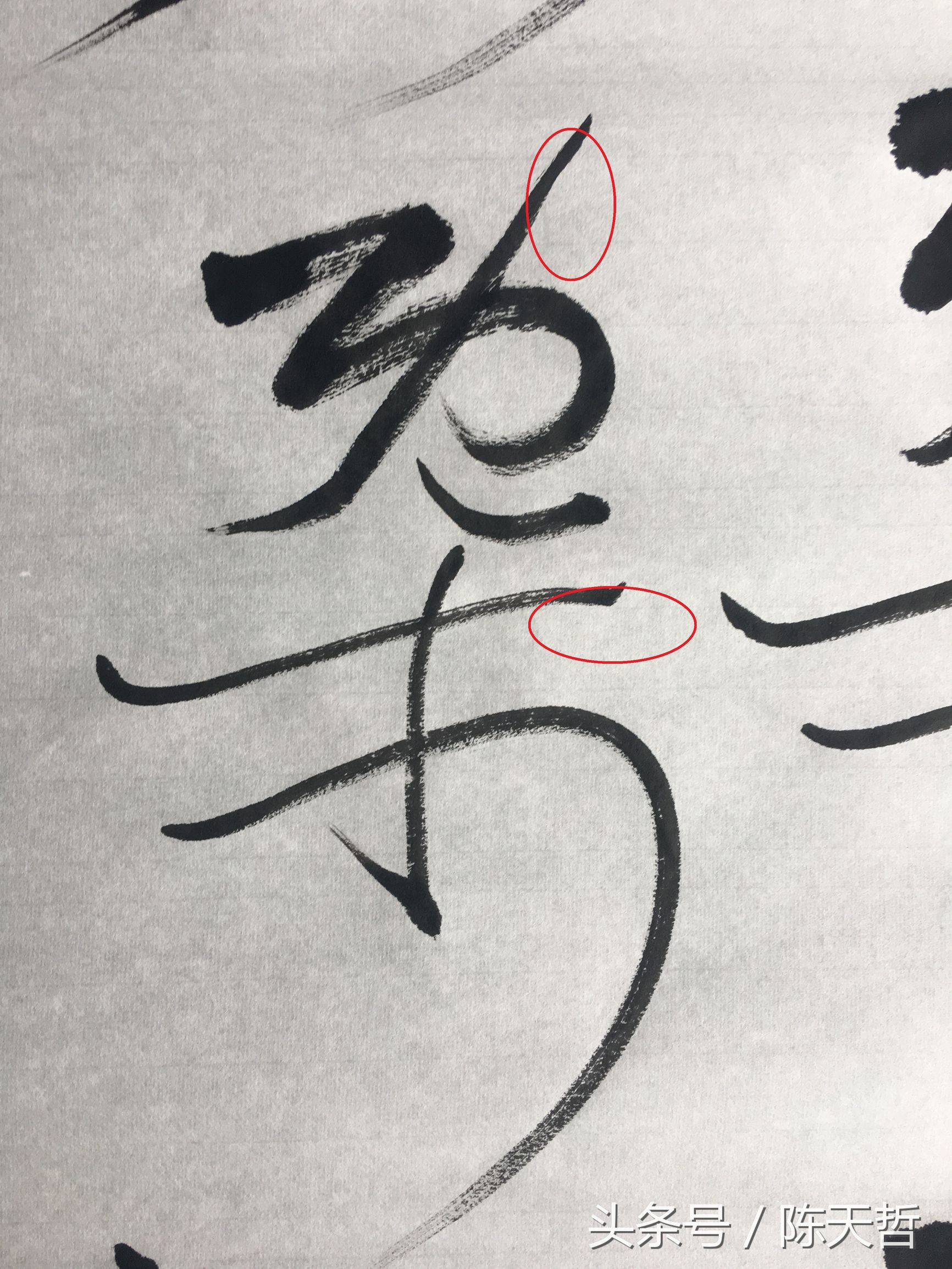 怀素也蒙人，狂草“木”旁6种变化字法，临帖感觉好往往也是个坑