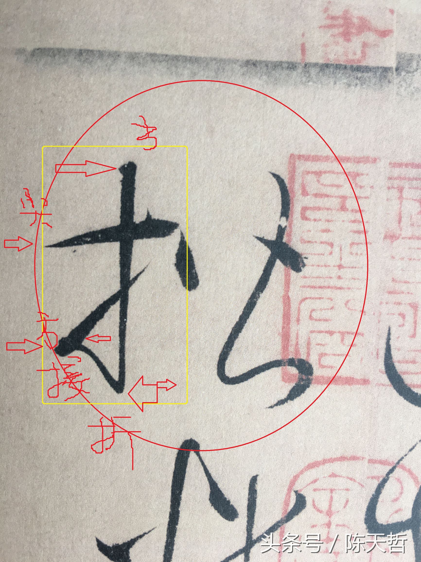 怀素也蒙人，狂草“木”旁6种变化字法，临帖感觉好往往也是个坑
