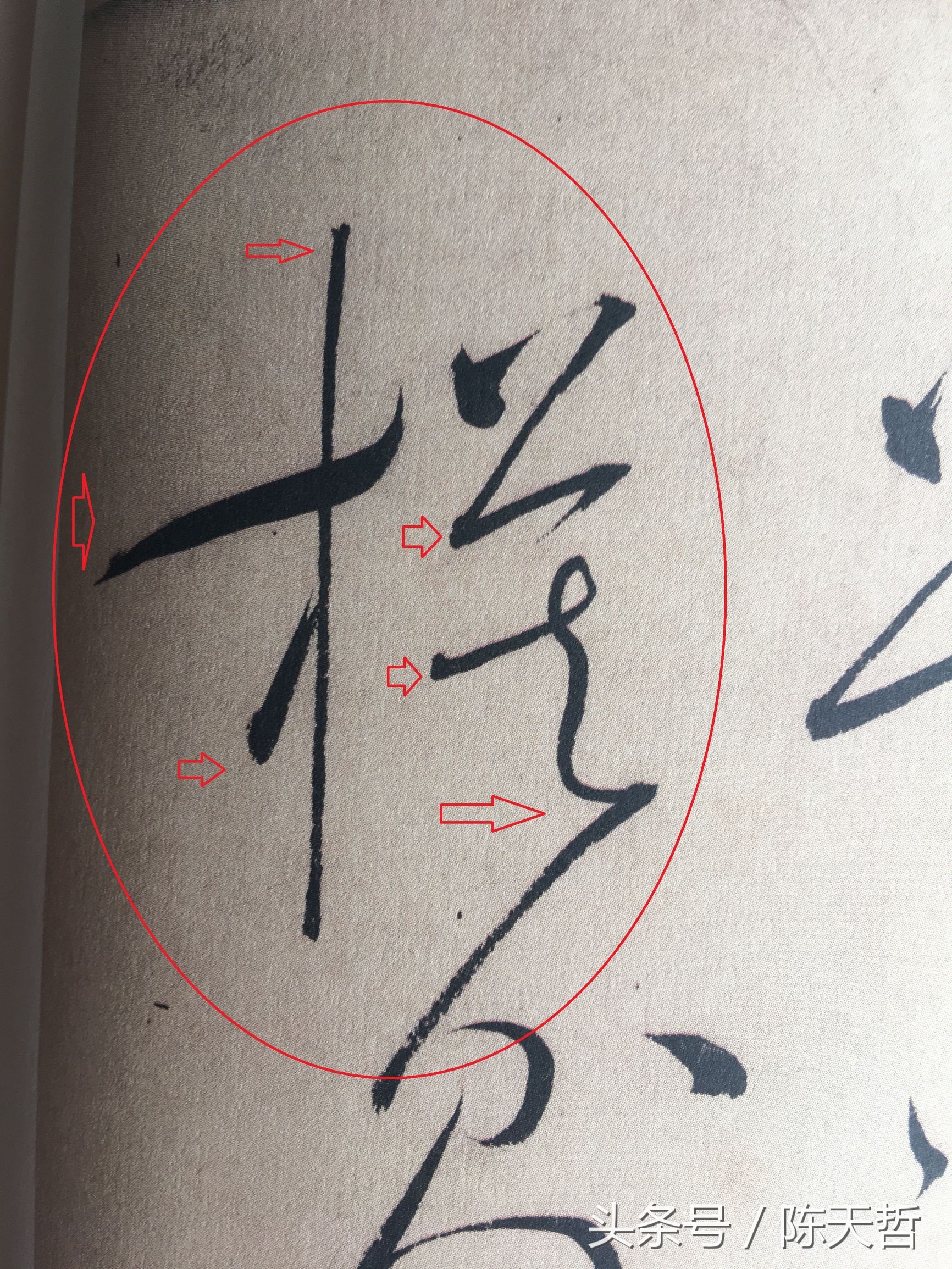 怀素也蒙人，狂草“木”旁6种变化字法，临帖感觉好往往也是个坑