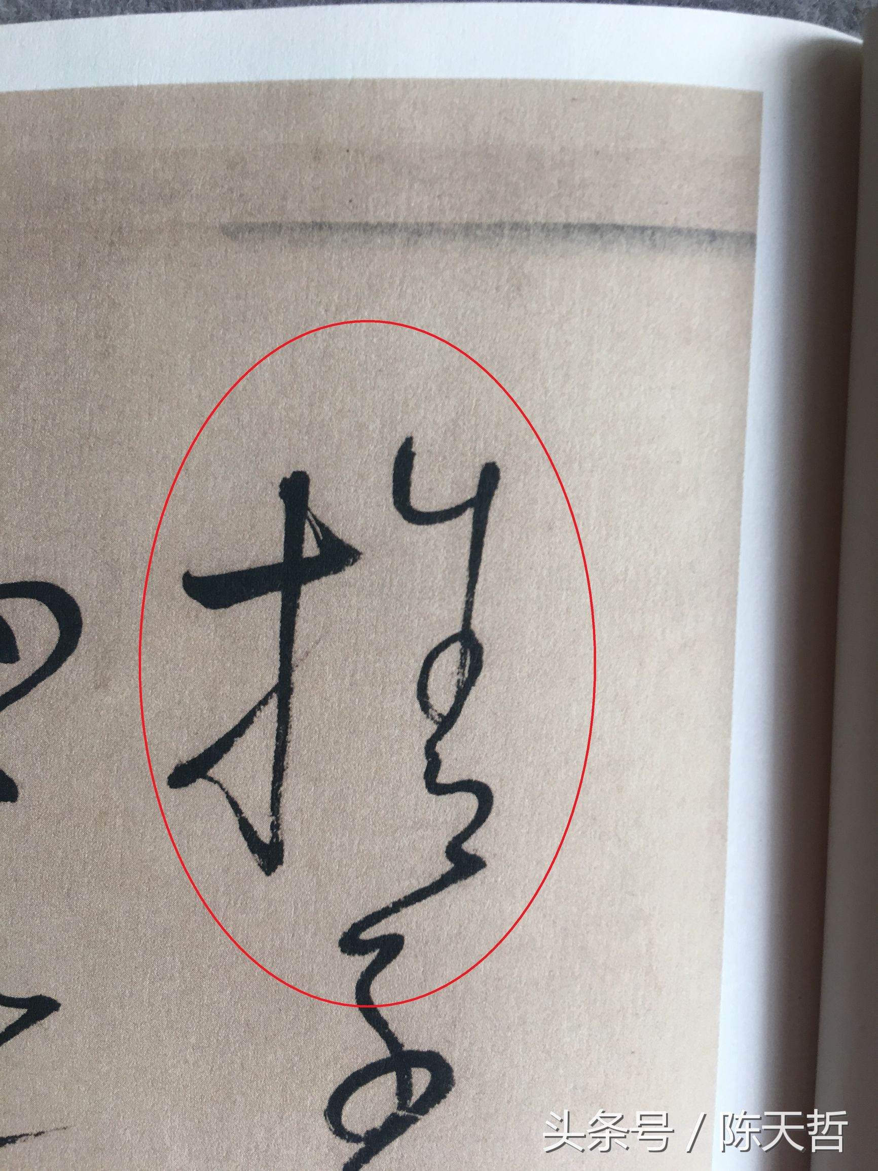 怀素也蒙人，狂草“木”旁6种变化字法，临帖感觉好往往也是个坑