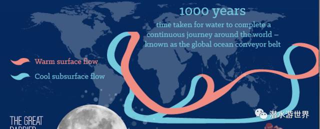海洋知识科普（关于海洋的31个冷知识分享）