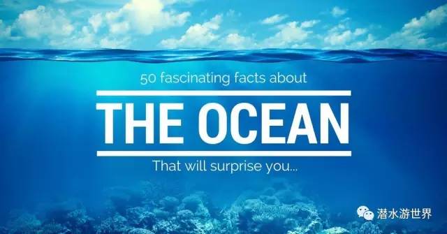 海洋知识科普（关于海洋的31个冷知识分享）
