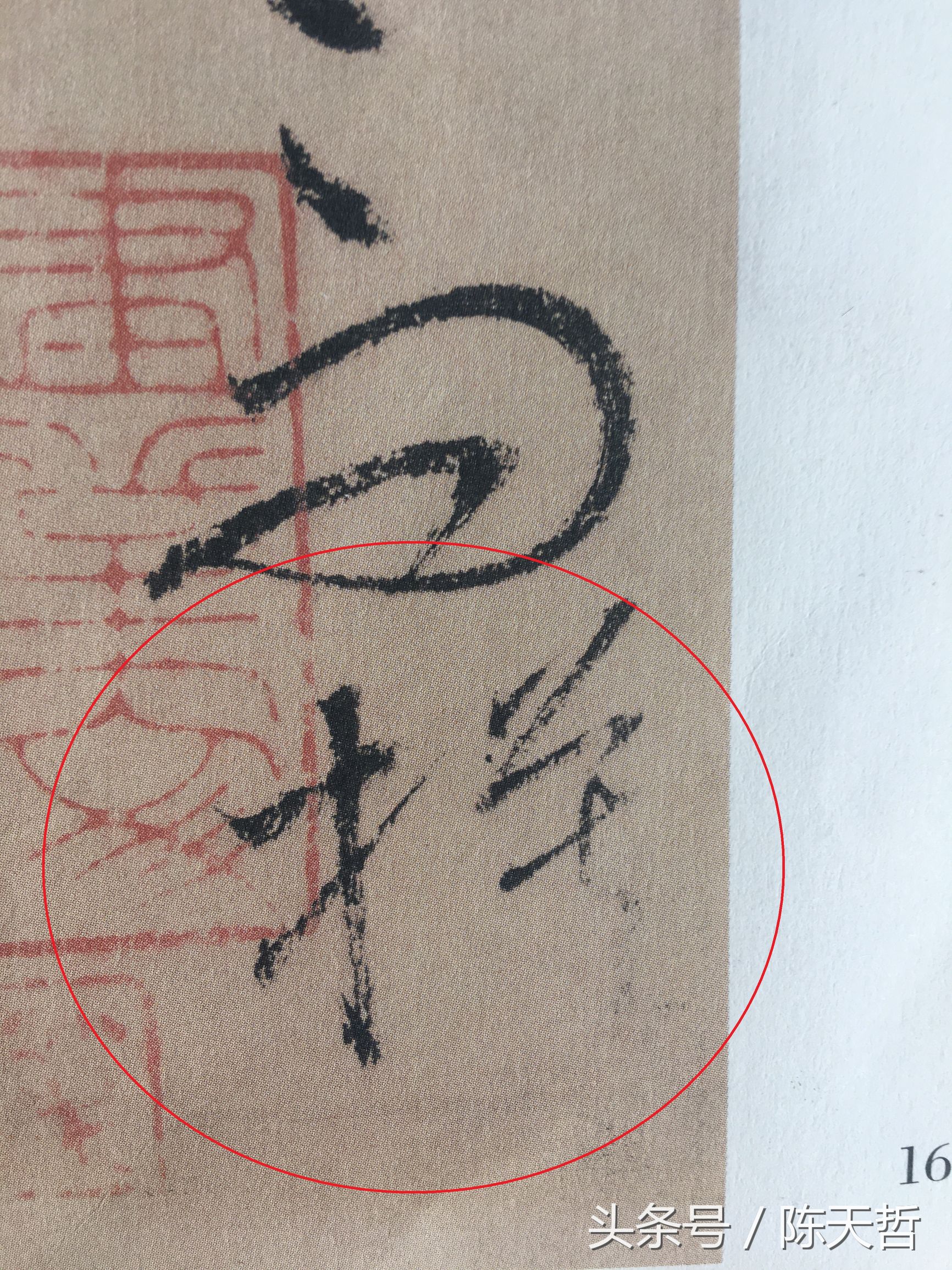 怀素也蒙人，狂草“木”旁6种变化字法，临帖感觉好往往也是个坑