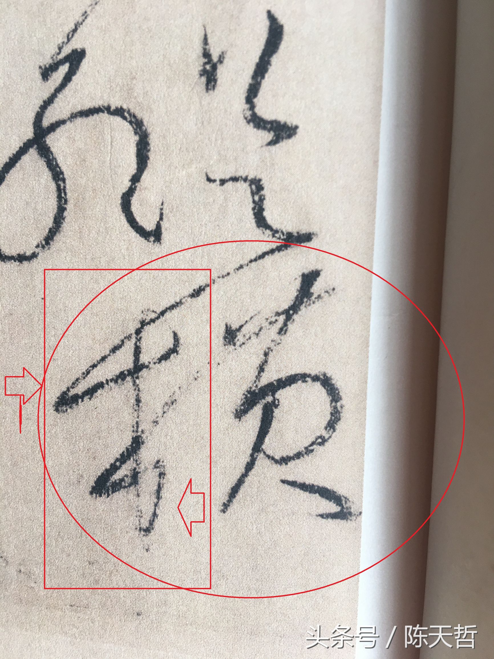 怀素也蒙人，狂草“木”旁6种变化字法，临帖感觉好往往也是个坑