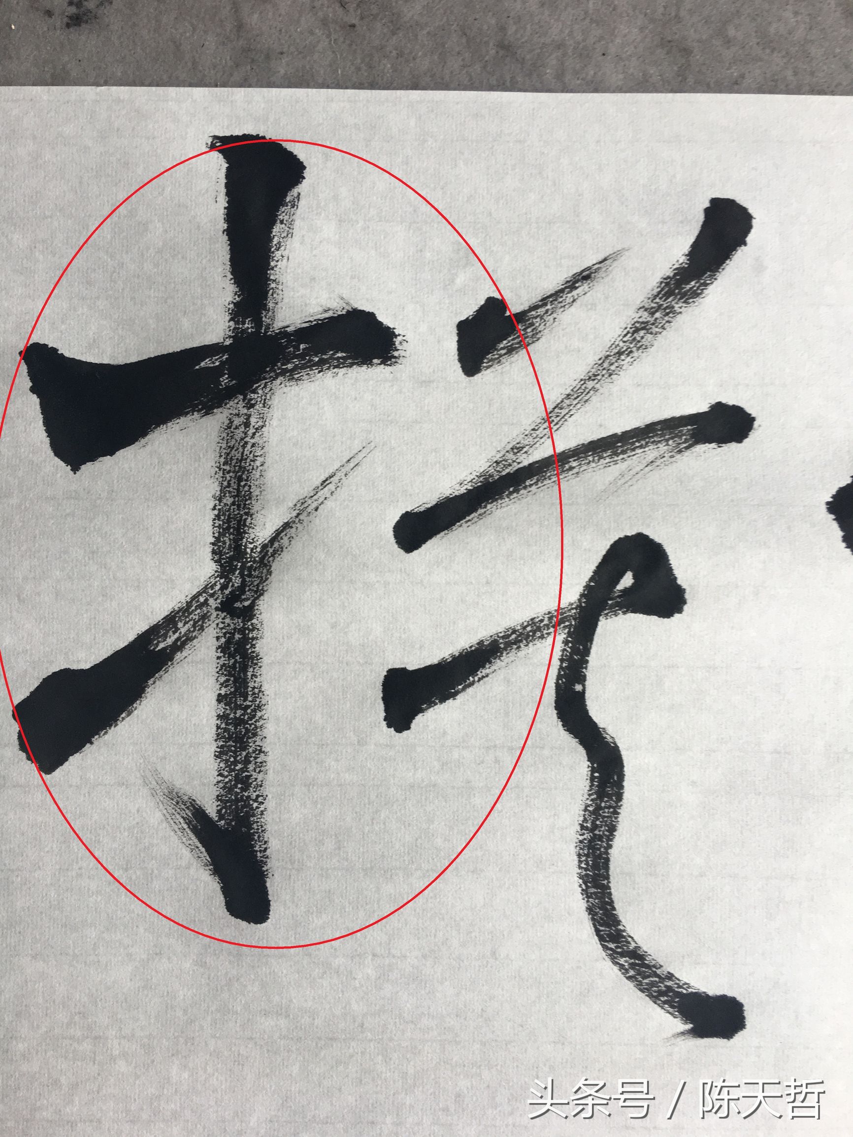 怀素也蒙人，狂草“木”旁6种变化字法，临帖感觉好往往也是个坑