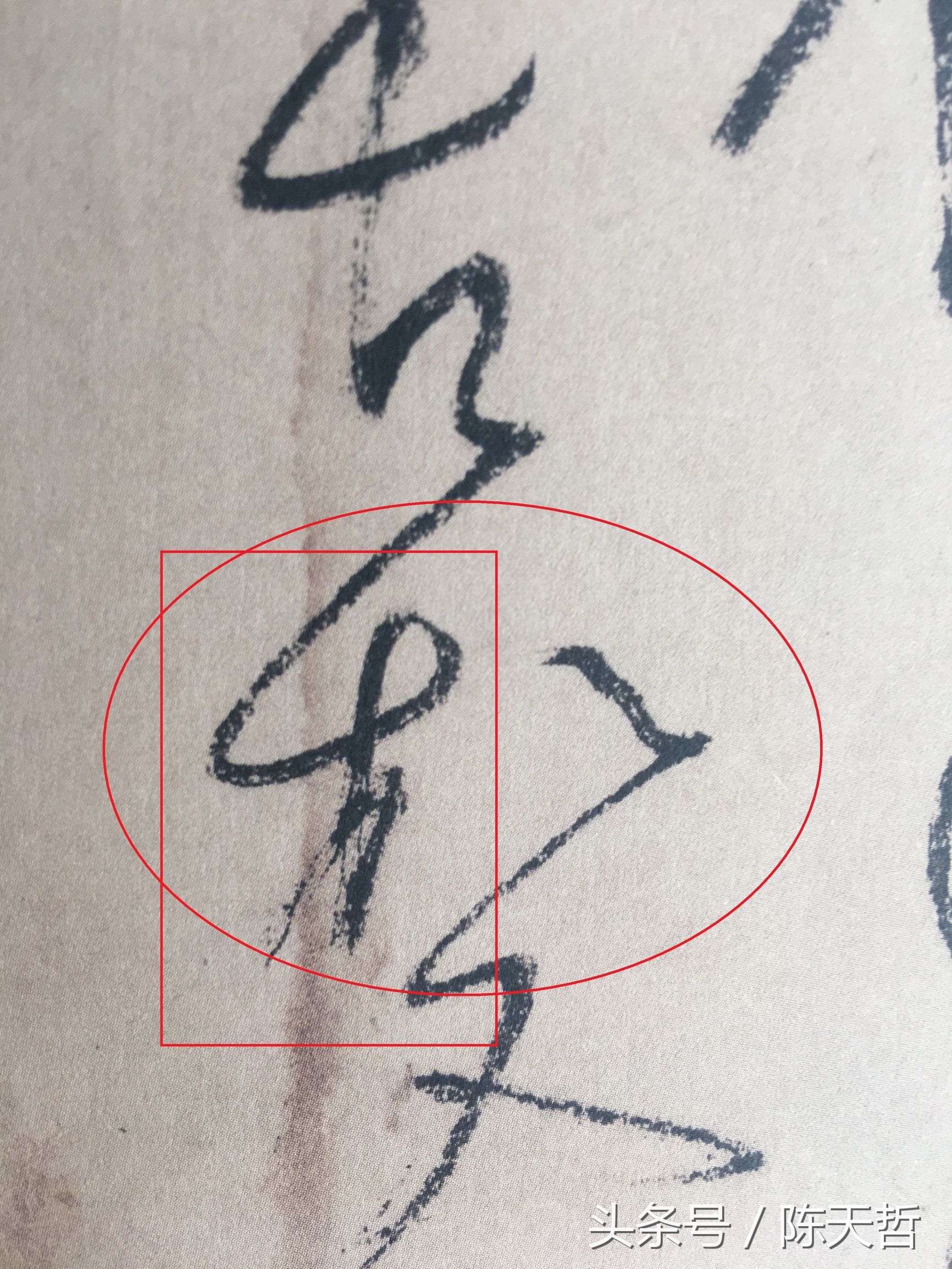 怀素也蒙人，狂草“木”旁6种变化字法，临帖感觉好往往也是个坑