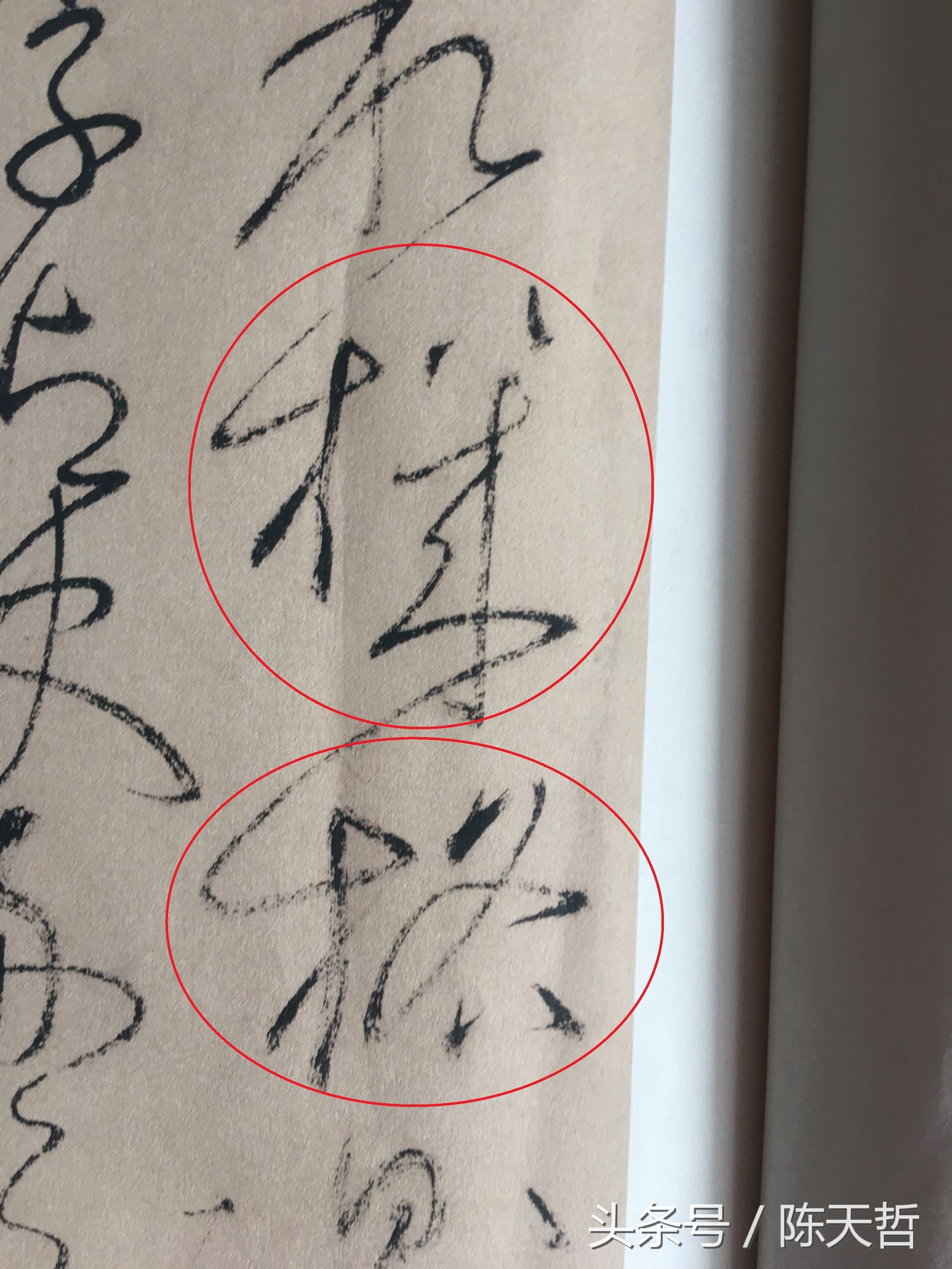 怀素也蒙人，狂草“木”旁6种变化字法，临帖感觉好往往也是个坑