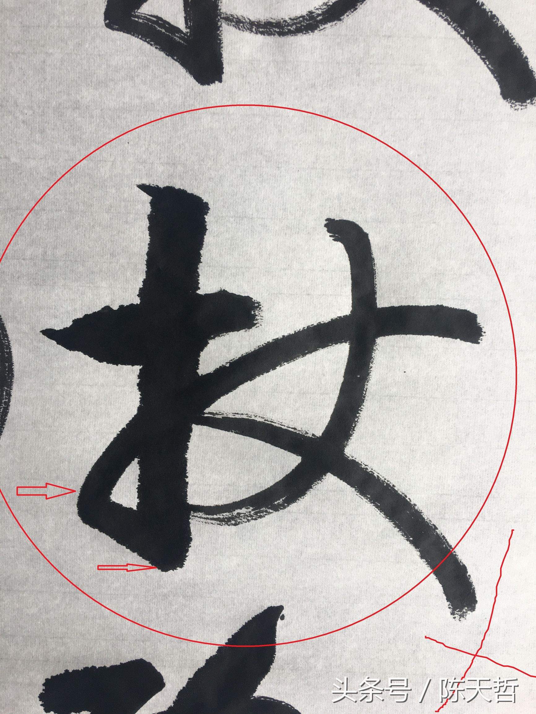 怀素也蒙人，狂草“木”旁6种变化字法，临帖感觉好往往也是个坑