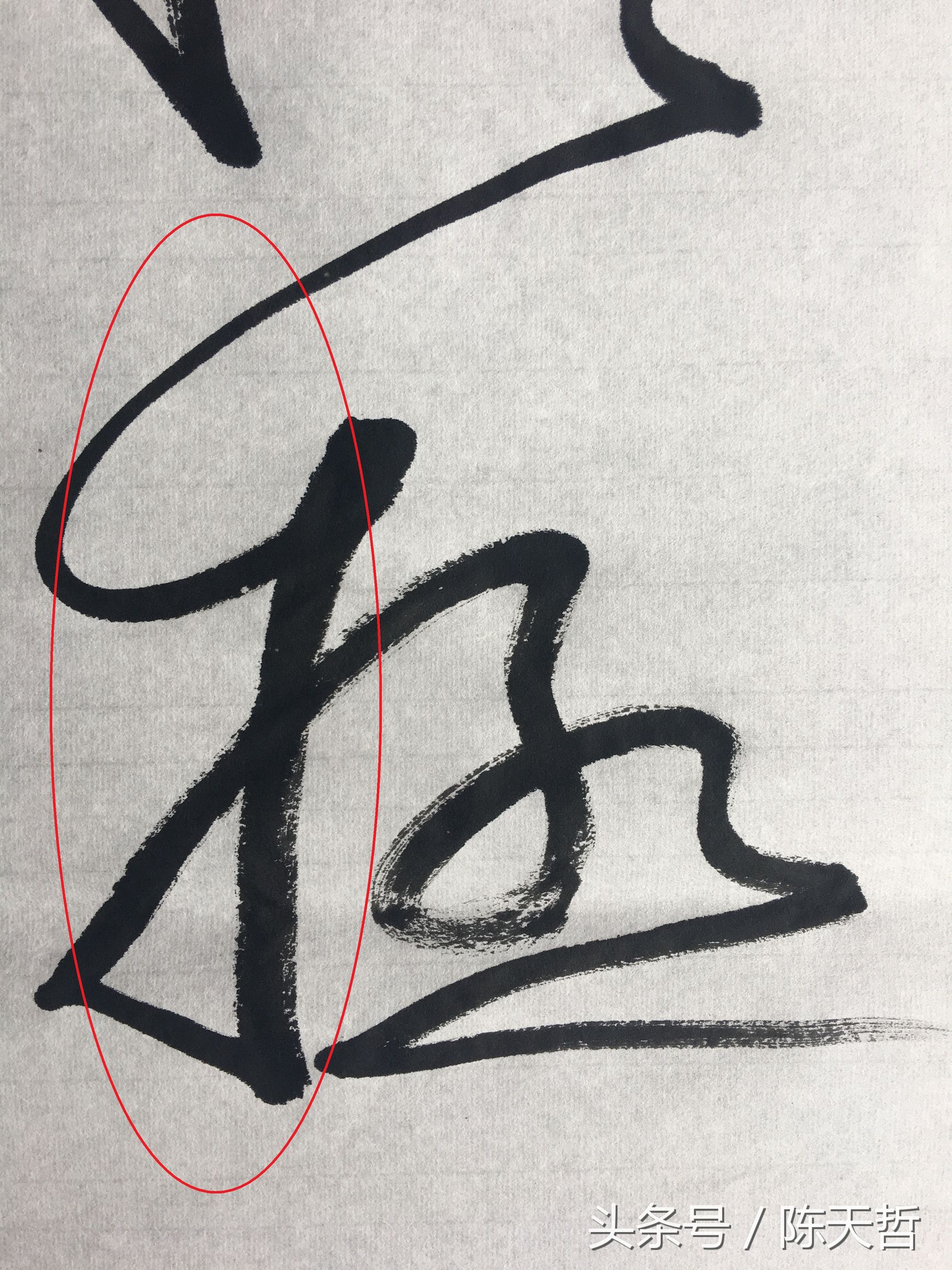 怀素也蒙人，狂草“木”旁6种变化字法，临帖感觉好往往也是个坑