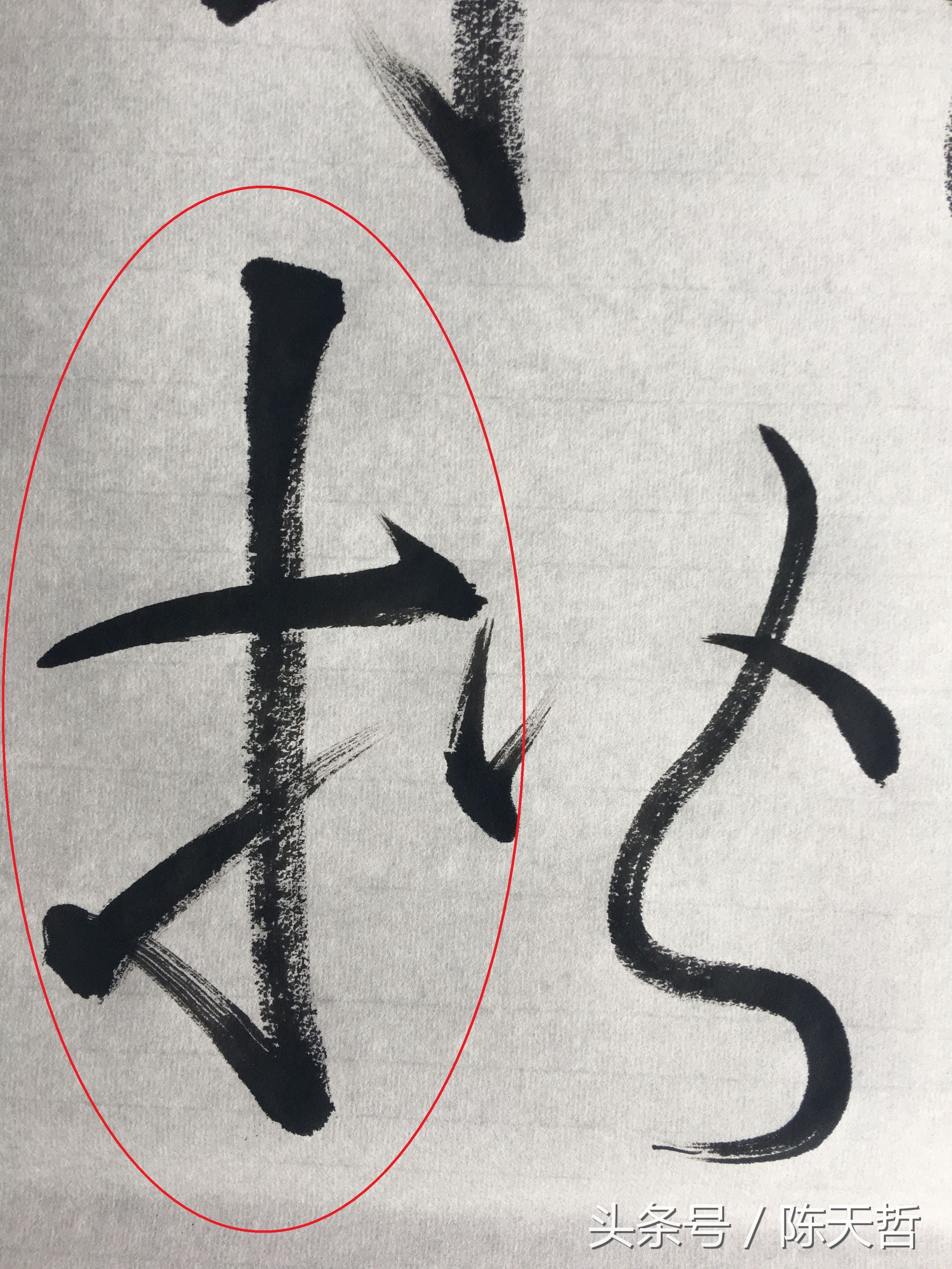 怀素也蒙人，狂草“木”旁6种变化字法，临帖感觉好往往也是个坑