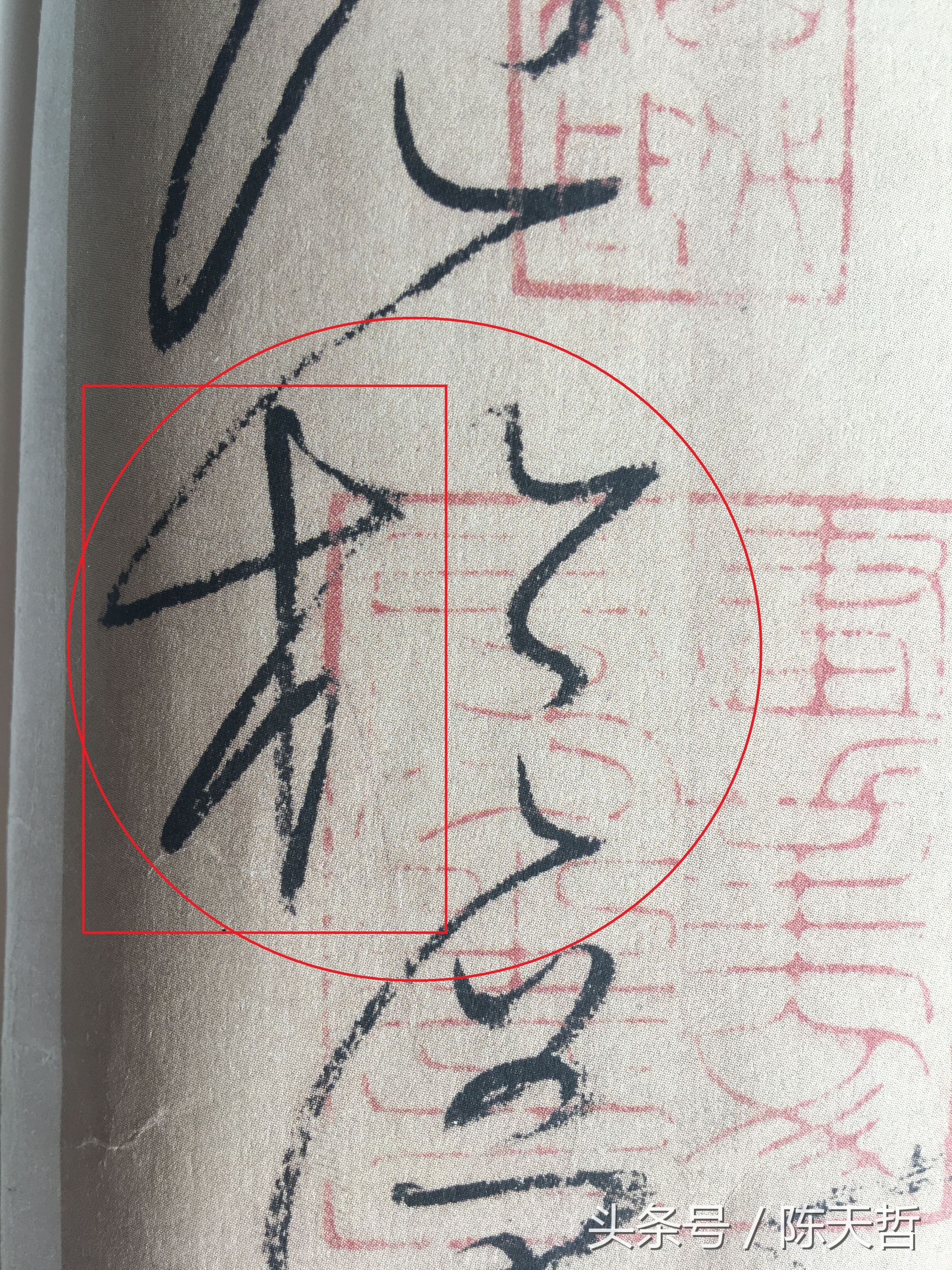 怀素也蒙人，狂草“木”旁6种变化字法，临帖感觉好往往也是个坑