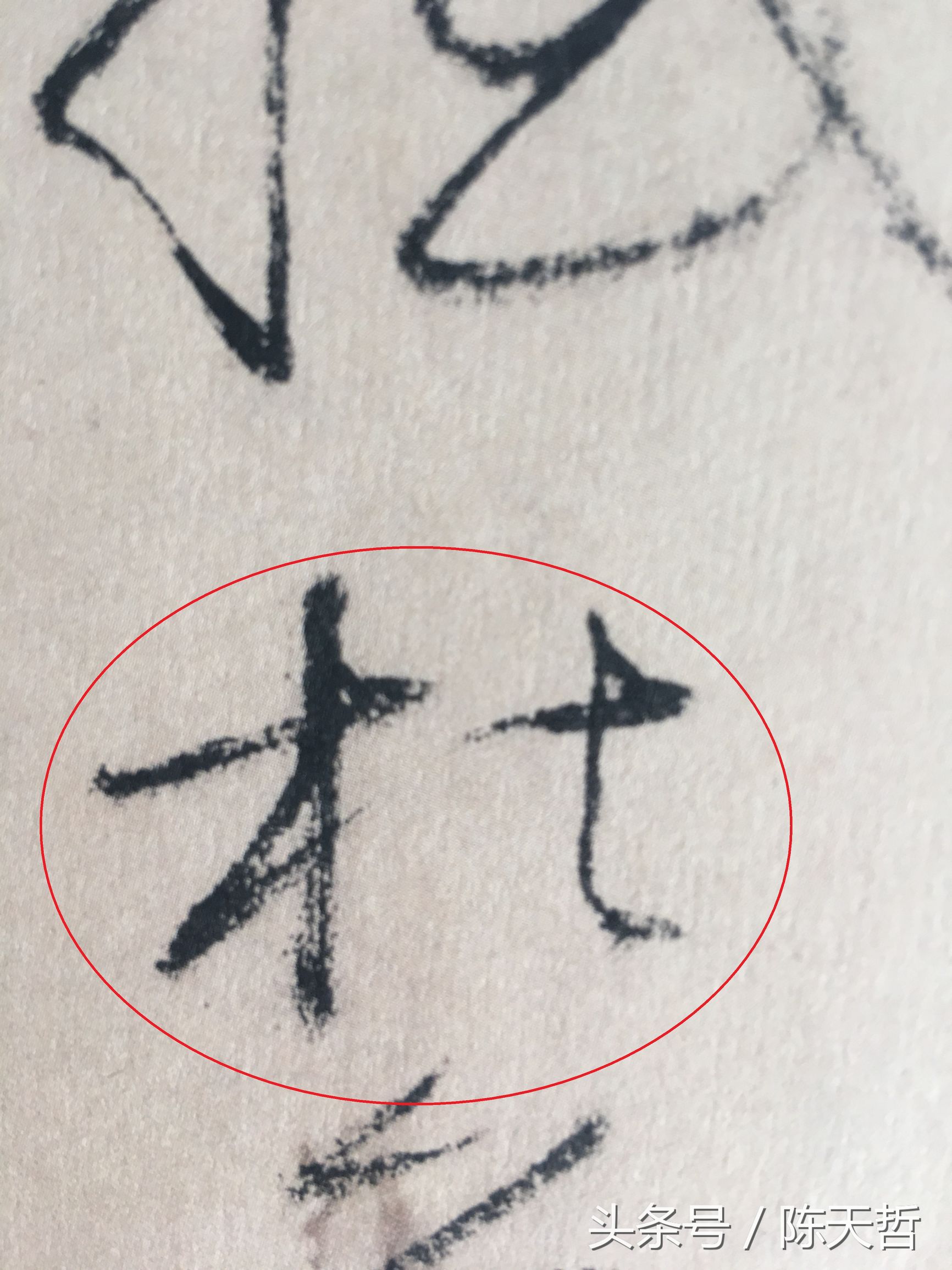 怀素也蒙人，狂草“木”旁6种变化字法，临帖感觉好往往也是个坑