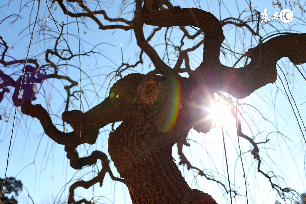 北京景山公园的俯视图，是一尊巨大的真武帝坐像（续）