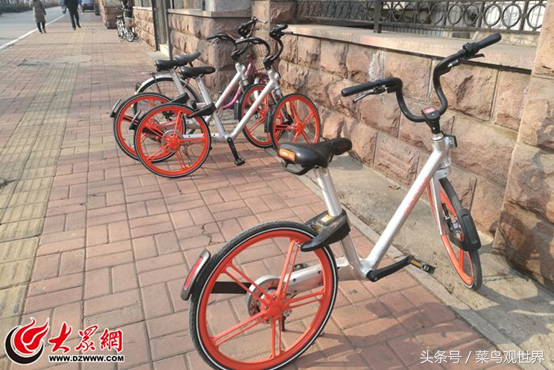 遍布全国各地和高校的ofo小黄车和摩拜单车，差别竟然这么大？
