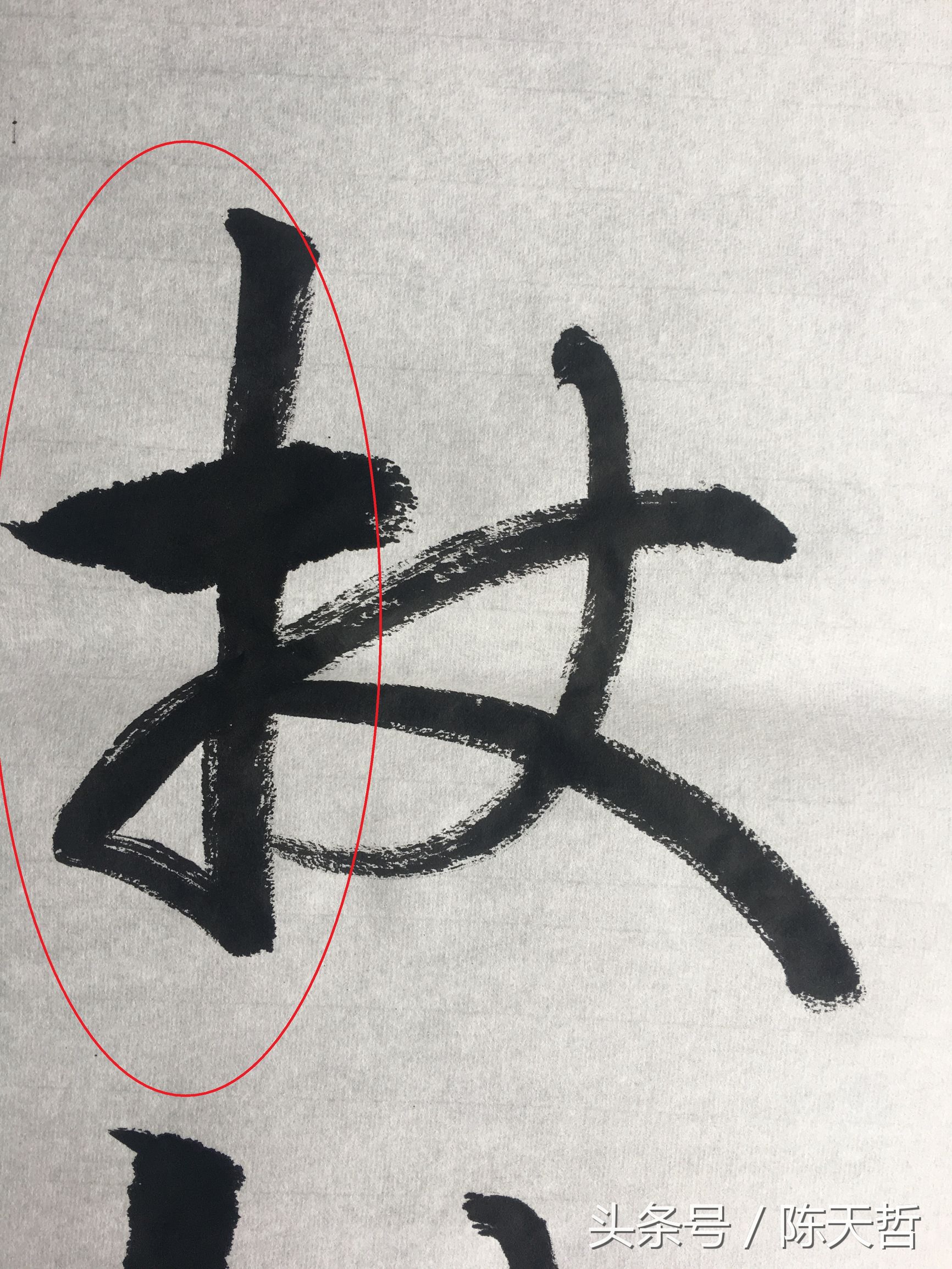 怀素也蒙人，狂草“木”旁6种变化字法，临帖感觉好往往也是个坑
