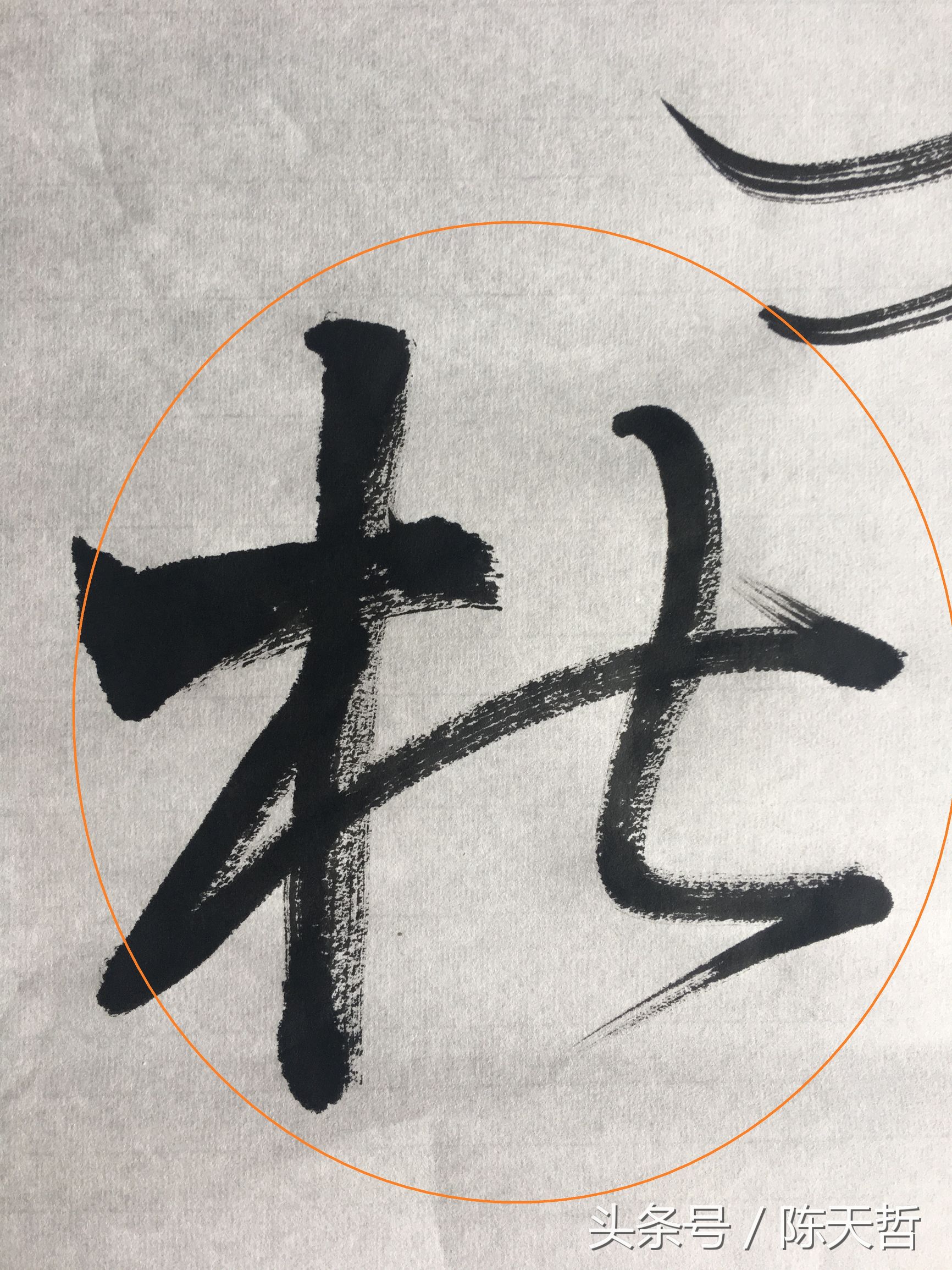 怀素也蒙人，狂草“木”旁6种变化字法，临帖感觉好往往也是个坑