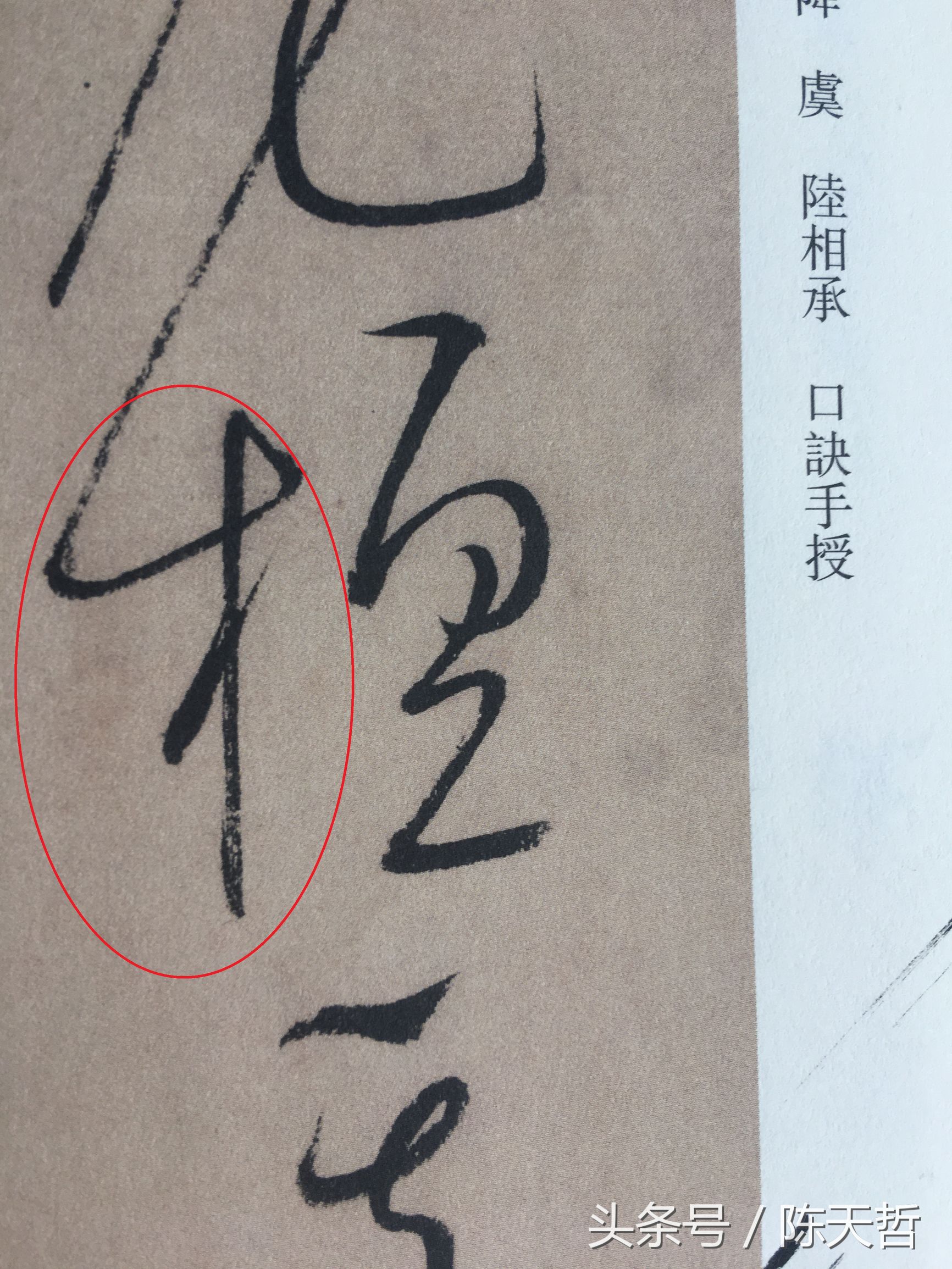 怀素也蒙人，狂草“木”旁6种变化字法，临帖感觉好往往也是个坑