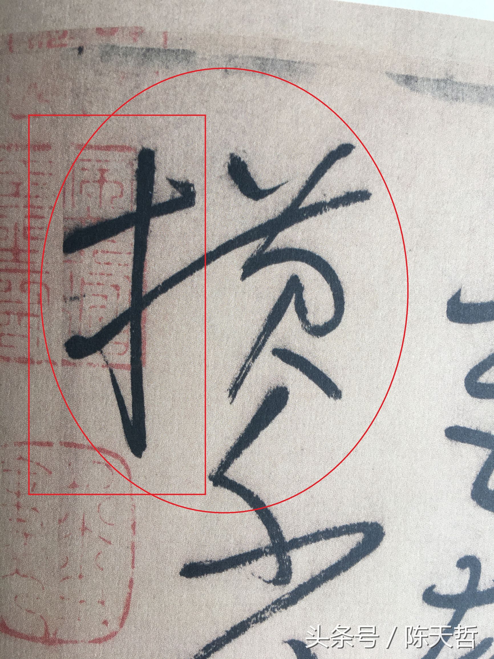 怀素也蒙人，狂草“木”旁6种变化字法，临帖感觉好往往也是个坑