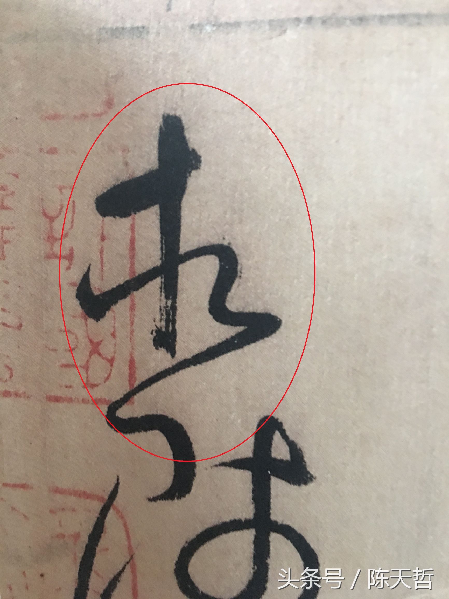 怀素也蒙人，狂草“木”旁6种变化字法，临帖感觉好往往也是个坑