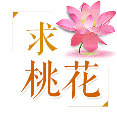 水晶走廊风水2017年鸡年十二生肖运程（生肖鸡本命年款）