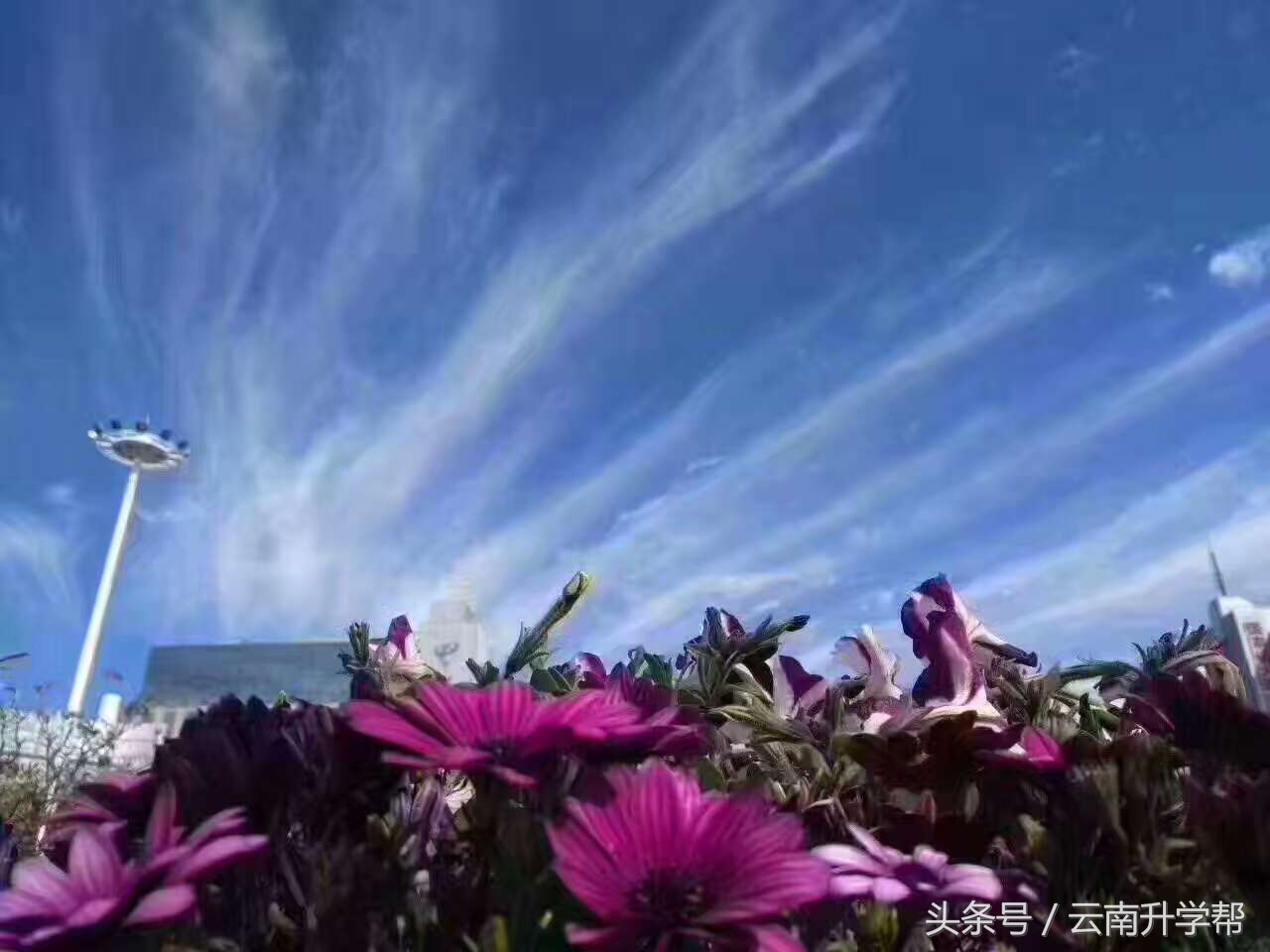 小升初报名名校我只能给你介绍这么多