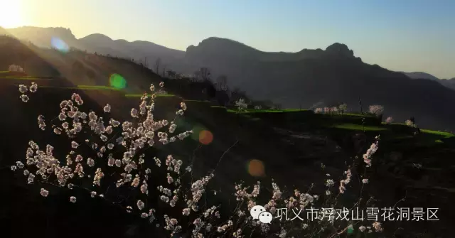踏青赏花正当时，浮戏山雪花洞景区——郑州市民的后花园！